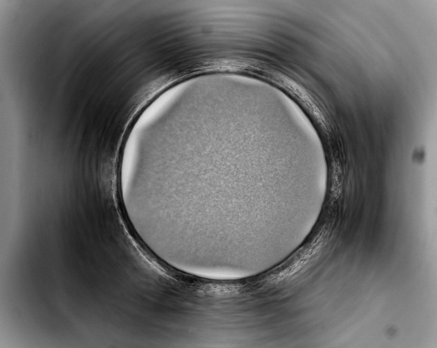 X0000103410802200810100955