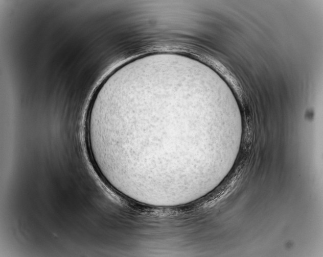 X0000103410803200810100955