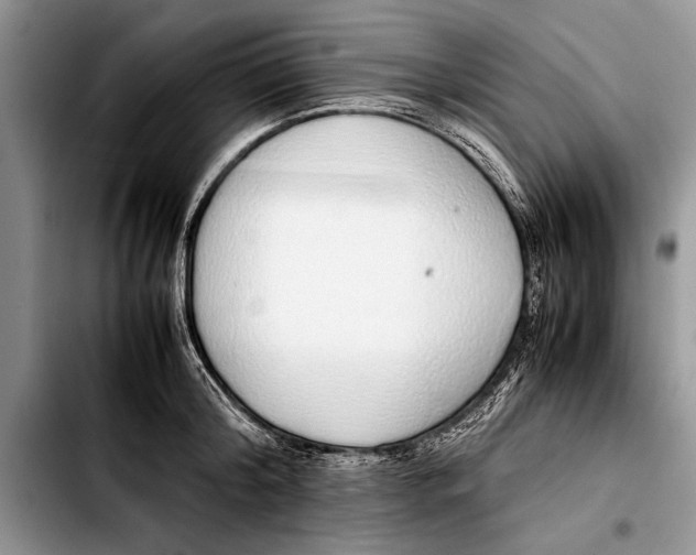 X0000103410804200810100955