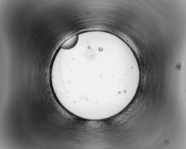 X0000103410805200810100955