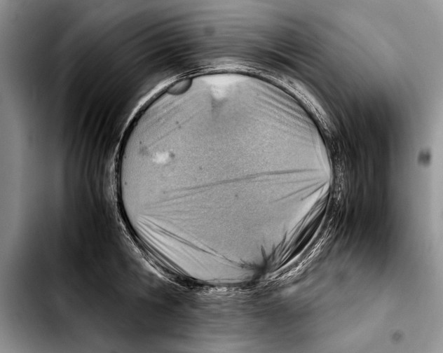 X0000103410806200810100955