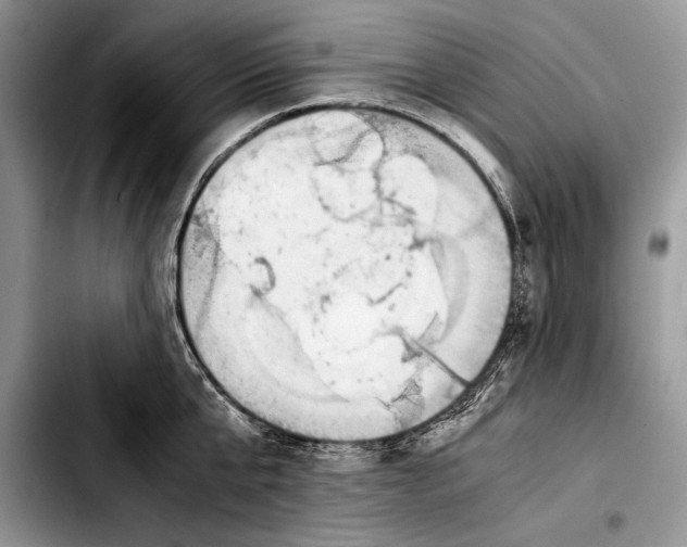 X0000103410807200810100955