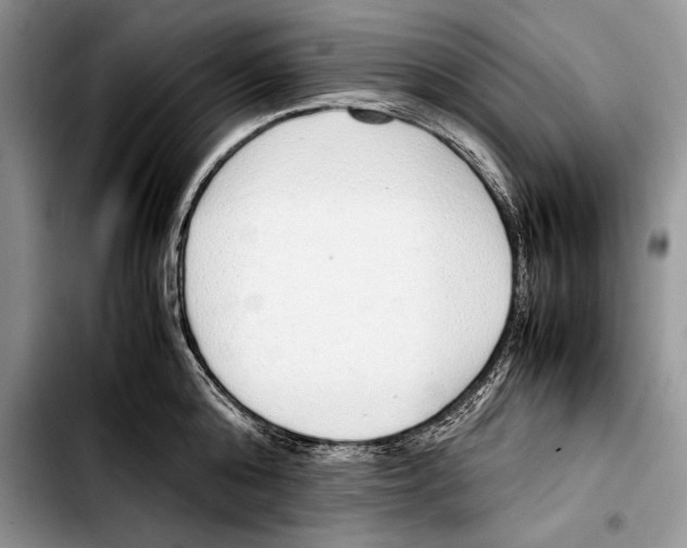 X0000103410808200810100955