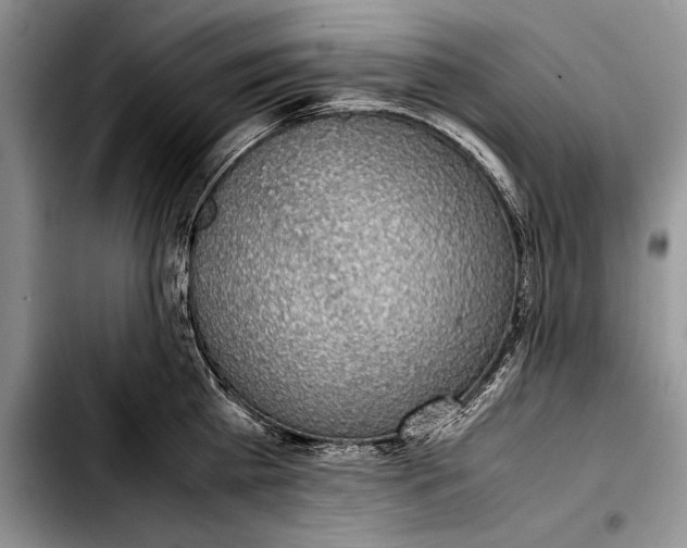 X0000103410809200810100955