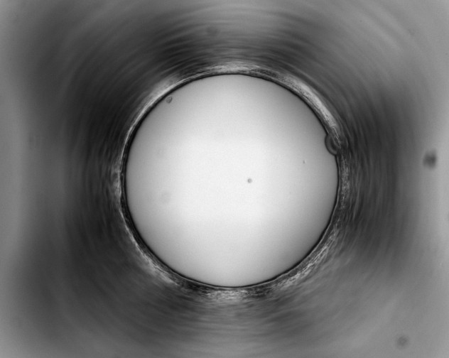 X0000103410810200810100955