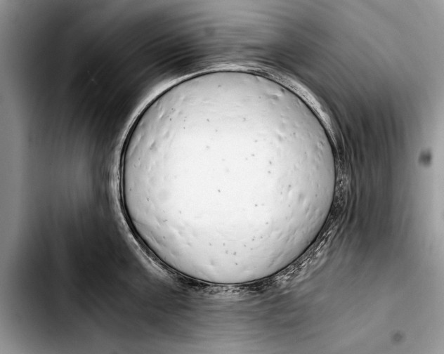 X0000103410811200810100955