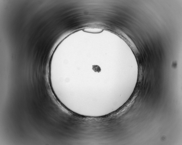 X0000103410812200810100955