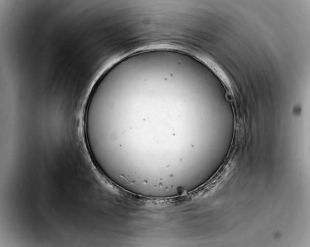 X0000103410813200810100955