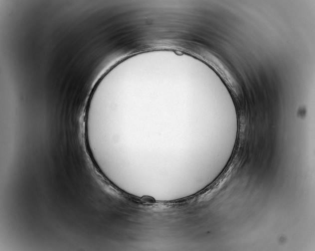 X0000103410814200810100955