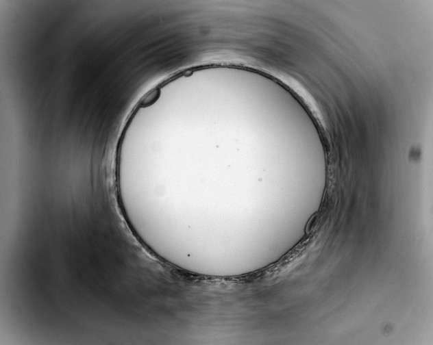 X0000103410815200810100954