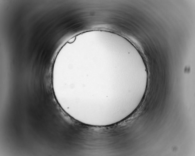 X0000103410816200810100954