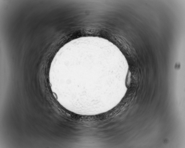 X0000103410817200810100954