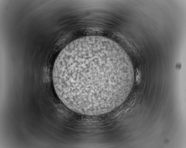 X0000103410819200810100954