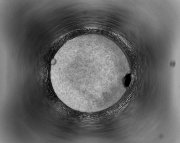 X0000103410821200810100954