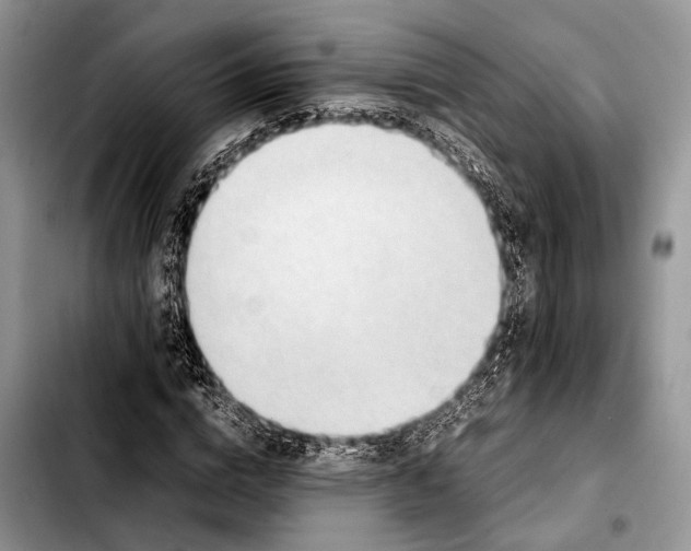 X0000103410824200810100954