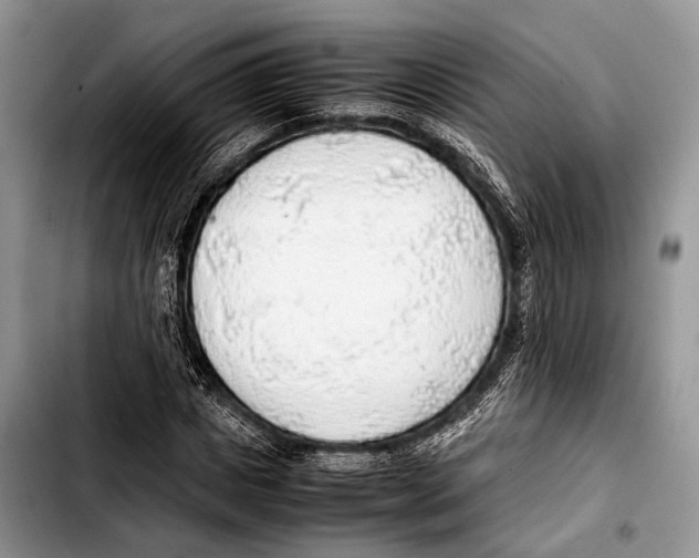 X0000103410825200810100954