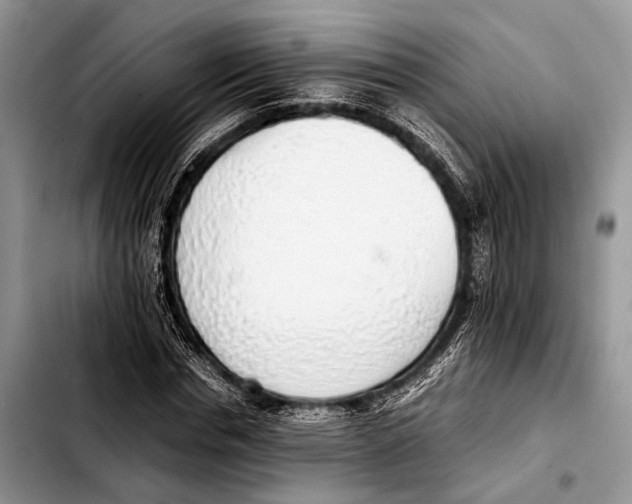 X0000103410826200810100954