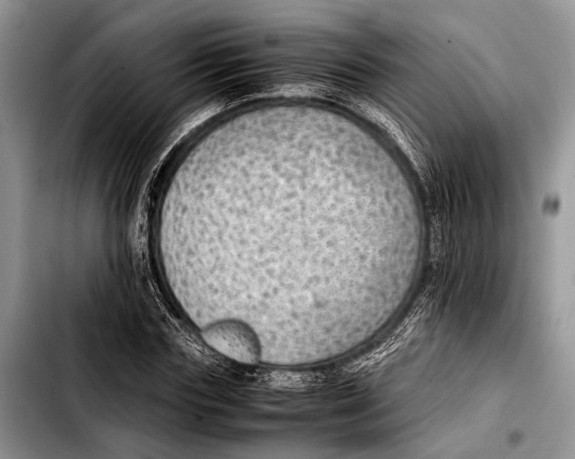 X0000103410827200810100954