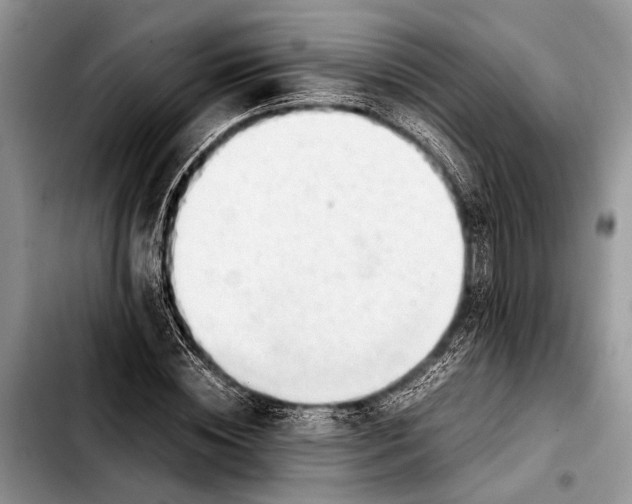 X0000103410828200810100954