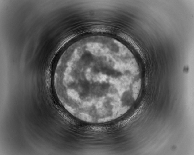 X0000103410829200810100954