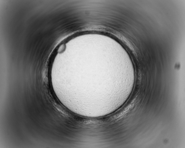 X0000103410830200810100954