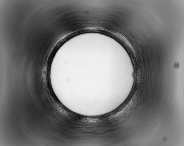 X0000103410831200810100954