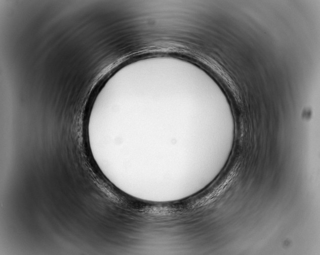 X0000103410834200810100954