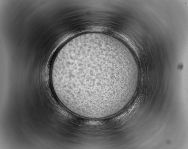 X0000103410835200810100954