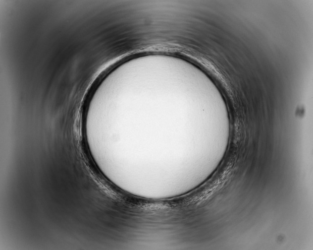 X0000103410838200810100954