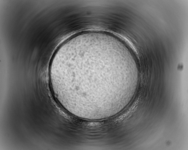 X0000103410839200810100954