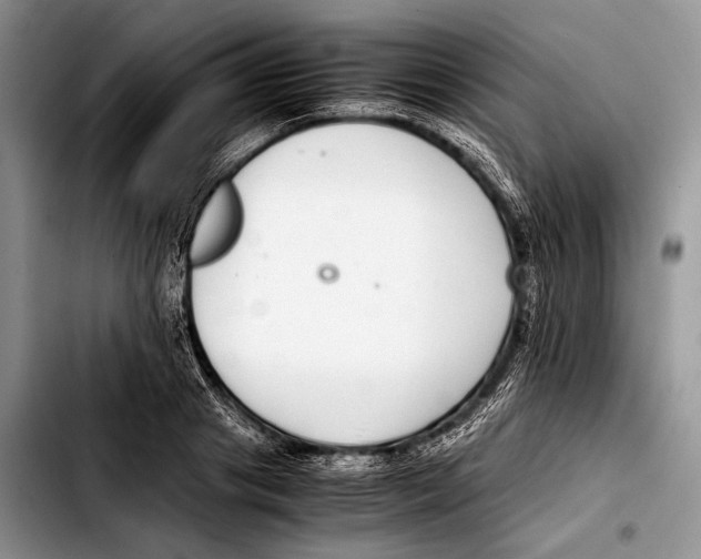 X0000103410841200810100954