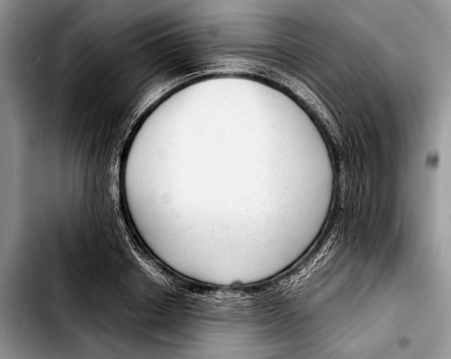 X0000103410842200810100954