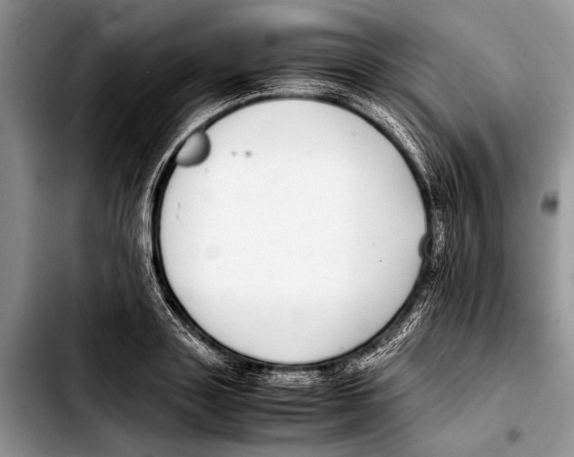 X0000103410843200810100954