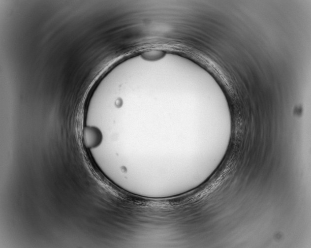 X0000103410844200810100954