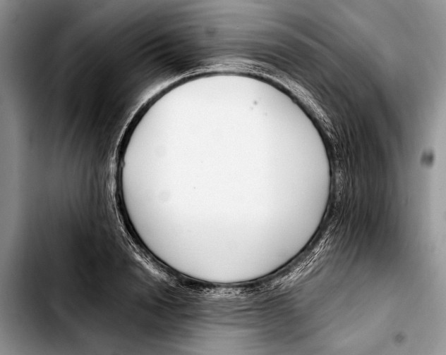 X0000103410846200810100954