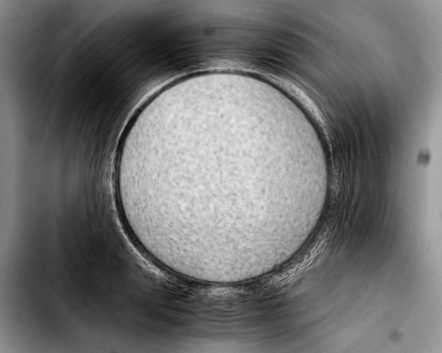 X0000103410847200810100954