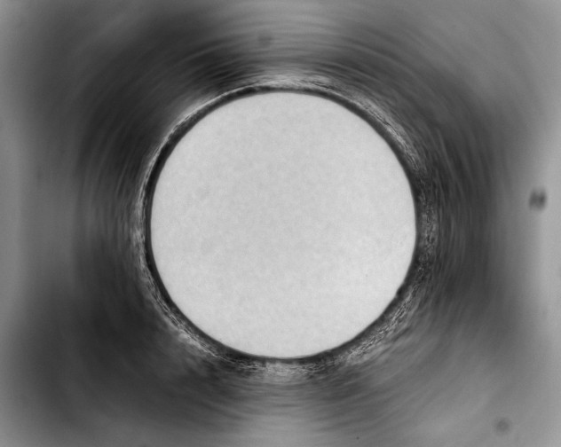 X0000103410848200810100954