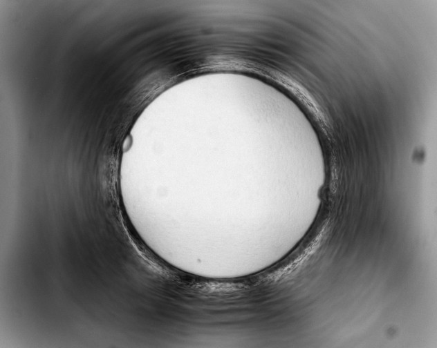 X0000103410849200810100954