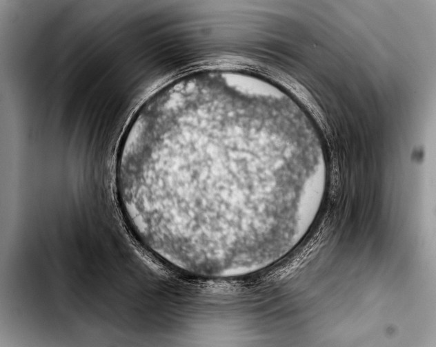 X0000103410850200810100954