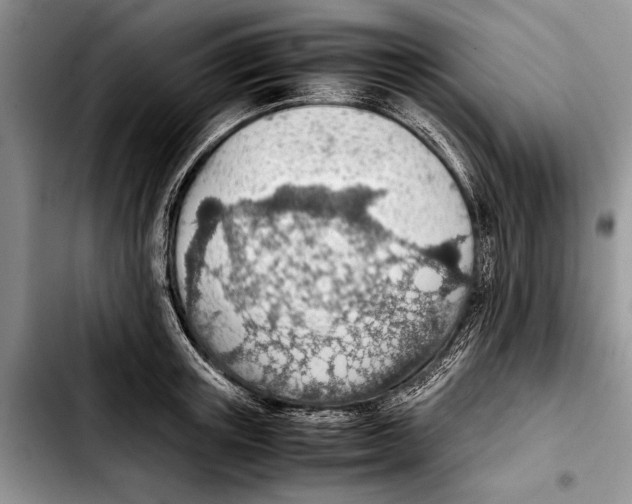 X0000103410851200810100954