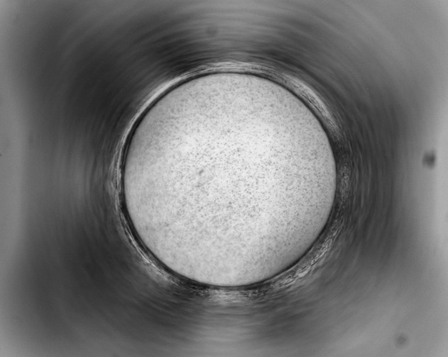 X0000103410852200810100954