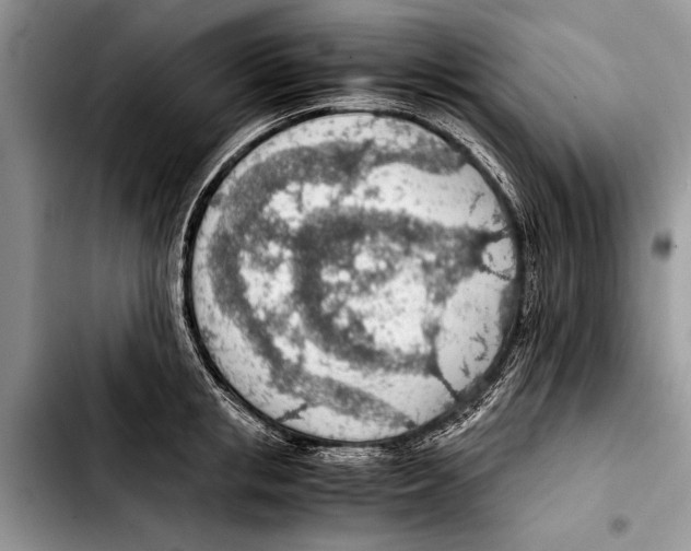 X0000103410853200810100954