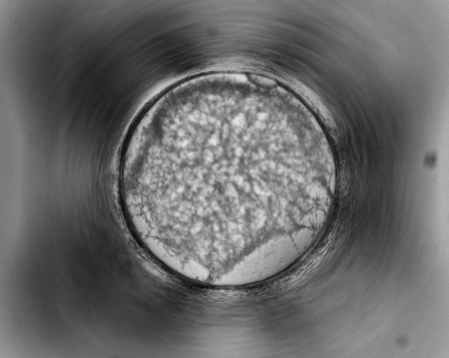 X0000103410854200810100954