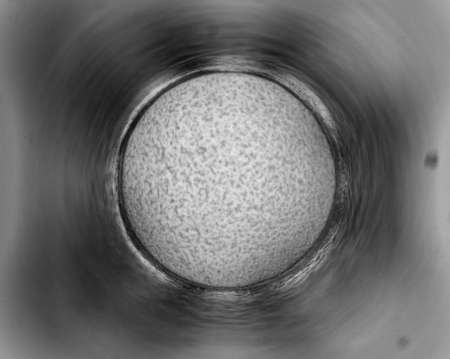 X0000103410855200810100954