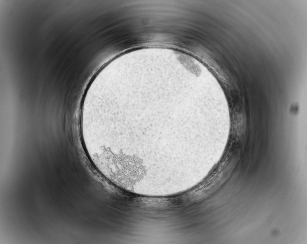 X0000103410856200810100954