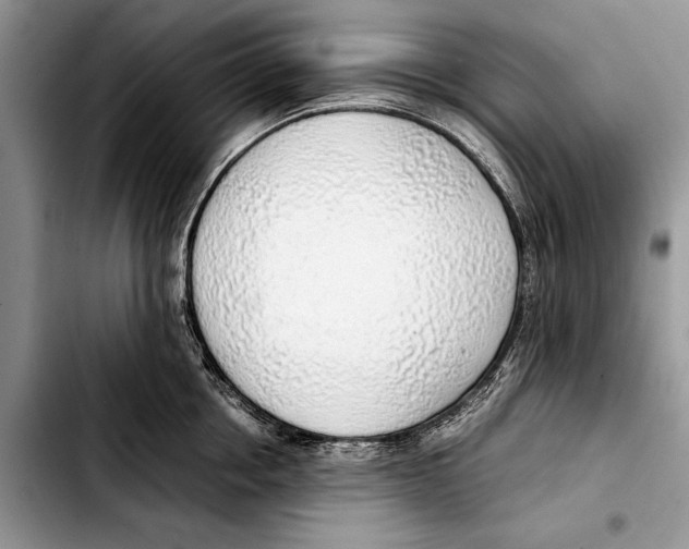 X0000103410858200810100954