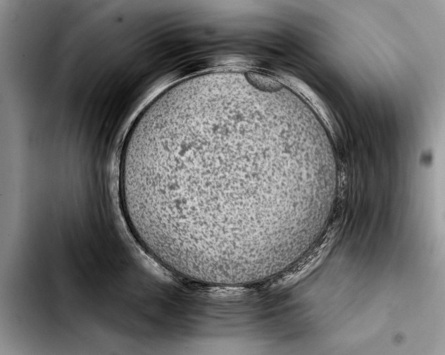 X0000103410859200810100954