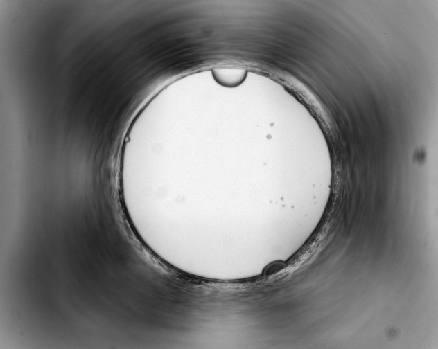 X0000103410860200810100954