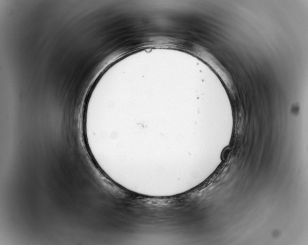 X0000103410861200810100954