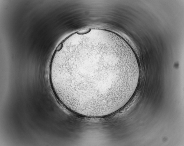 X0000103410862200810100954